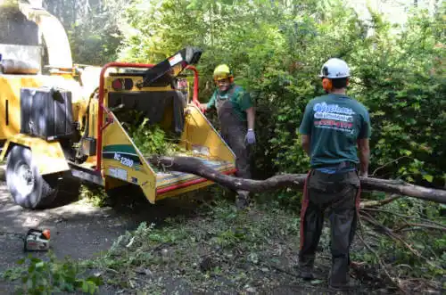 tree services Hesston